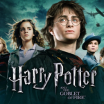 Harry Potter Film Serisi Filmleri?